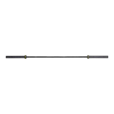 Sport chek barbell hotsell