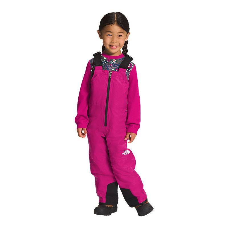 Image of The North Face Kids' Toddler Freedom Bib Snow Pants, Girls', Winter, Insulated