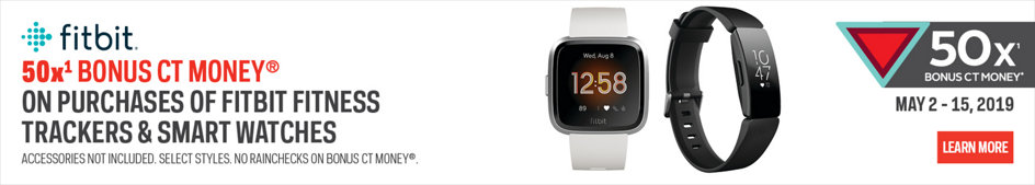 fitbit sport chek