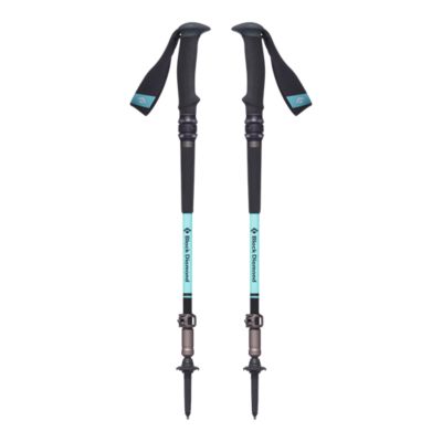 black diamond pro shock