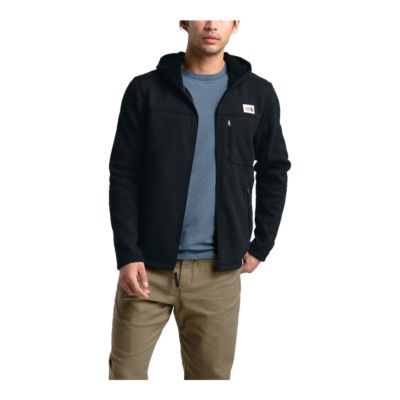 north face men's gordon lyons hoodie