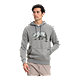 The North Face Men's Bear Pullover Hoodie