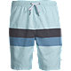 Quiksilver Men's Highline 19 Inch Volley Shorts