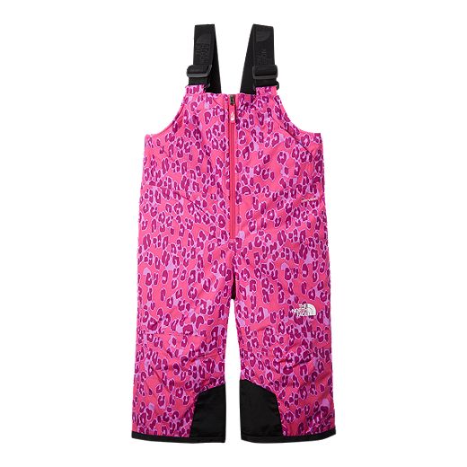 The North Face Girls' Snowquest Insulated Bib Pants